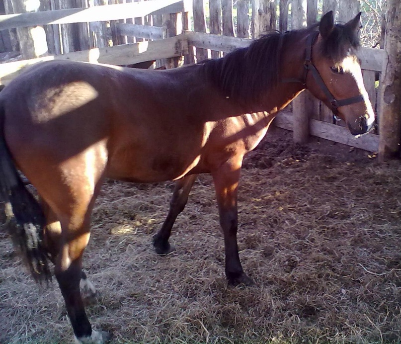 Юлия Стародубцева | Шушенское