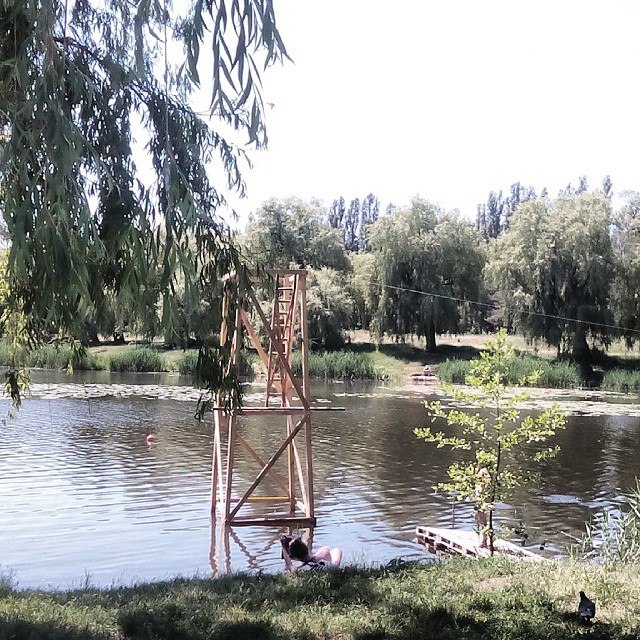 Елена Астахова | Харьков