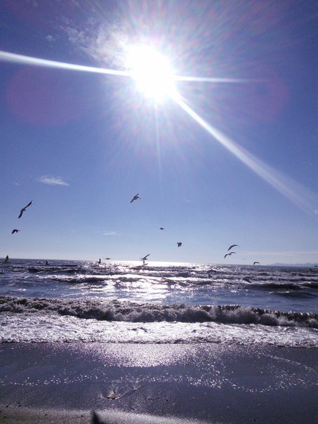 Александра Яровая | Одесса