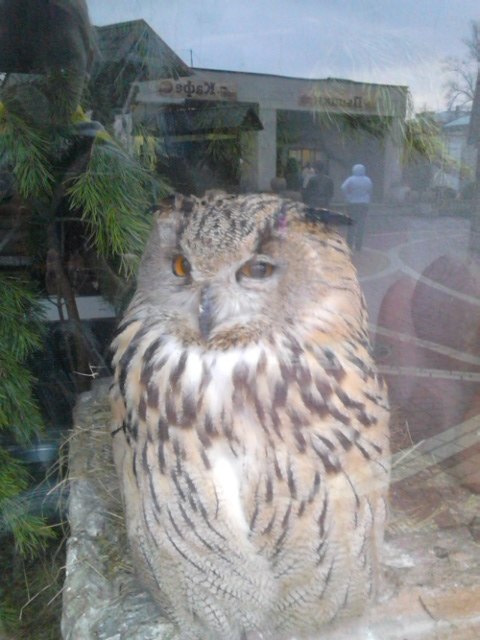 Светлана Исакова Олеговна | Славковичи