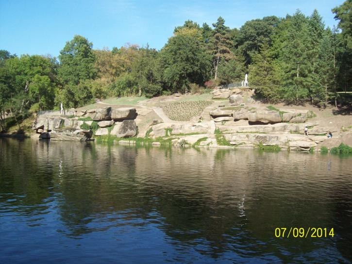 Сергей Лысенко | Кременчуг