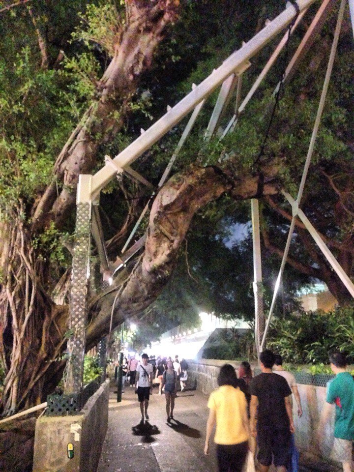 Евгения Старовойтова | Москва