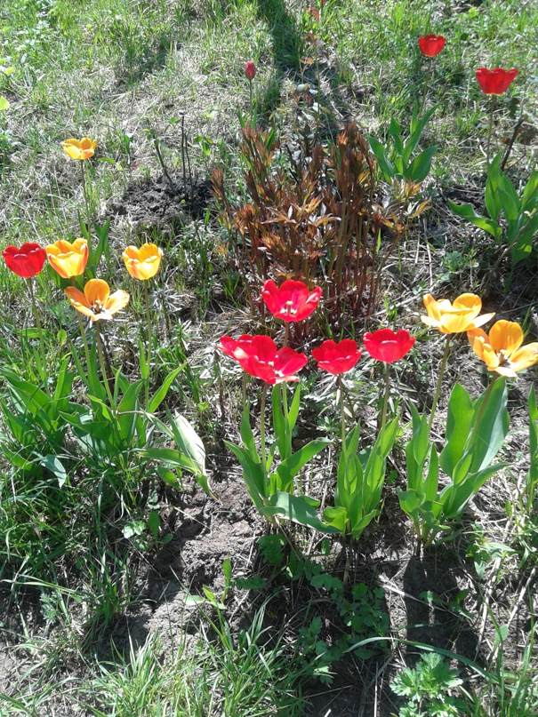 Любовь Сергеевна | Вуктыл