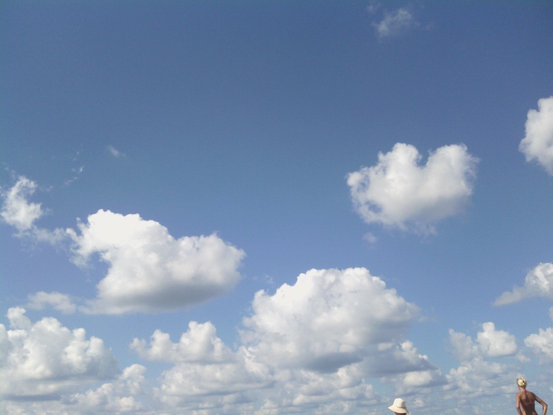 Сергей Шмелев | Ростов-на-Дону