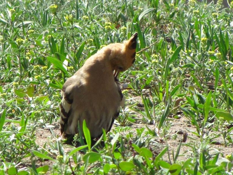 Николай Петренко | Павлодар