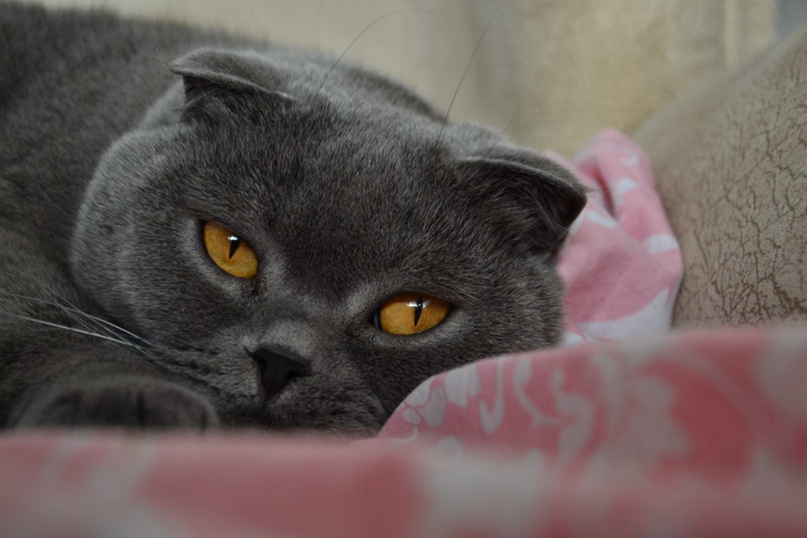 Оксана Самойленко | Харьков