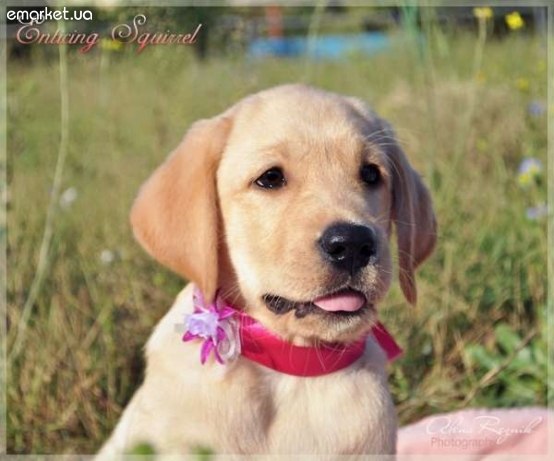 Маргарита Коваленко | Днепр (Днепропетровск)