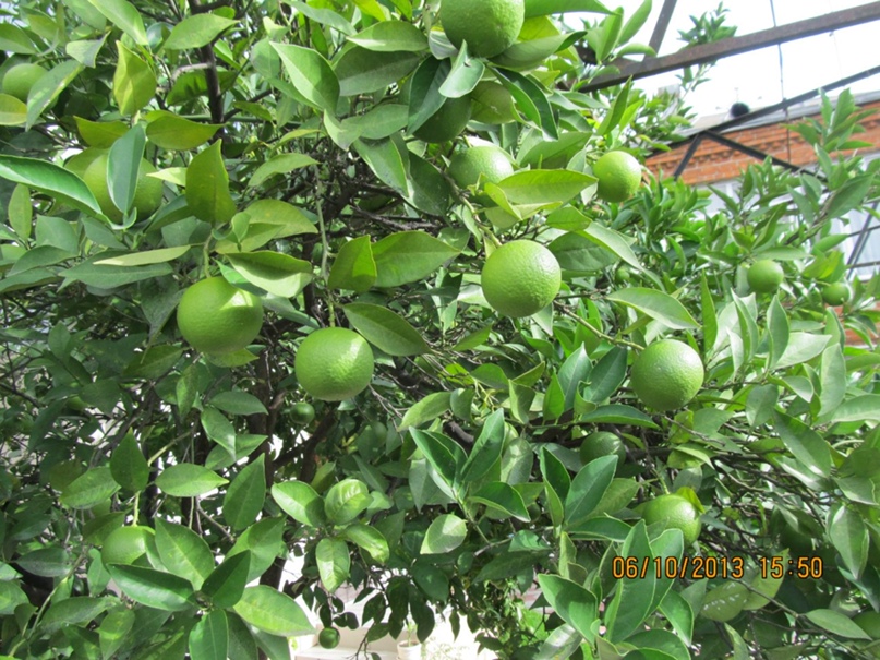 Ольга Филимонова | Воронеж