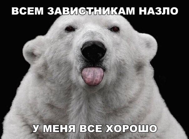 Антон Вилков | Архангельск