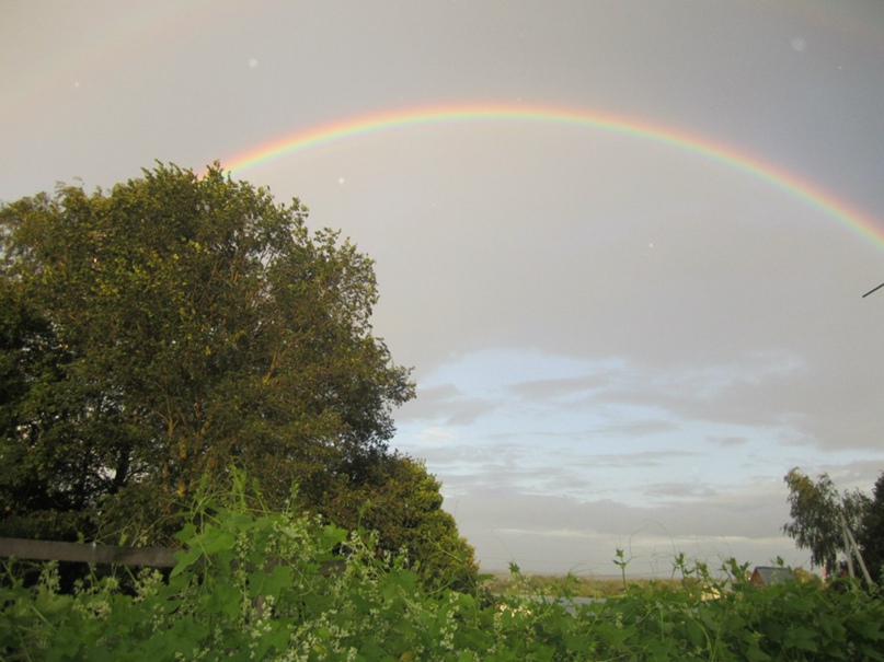 Виталий Ермолин | Зеленоград