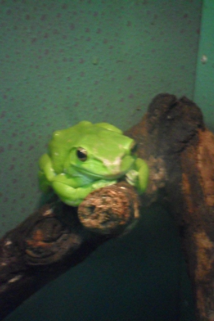 Людмила Савенкова |