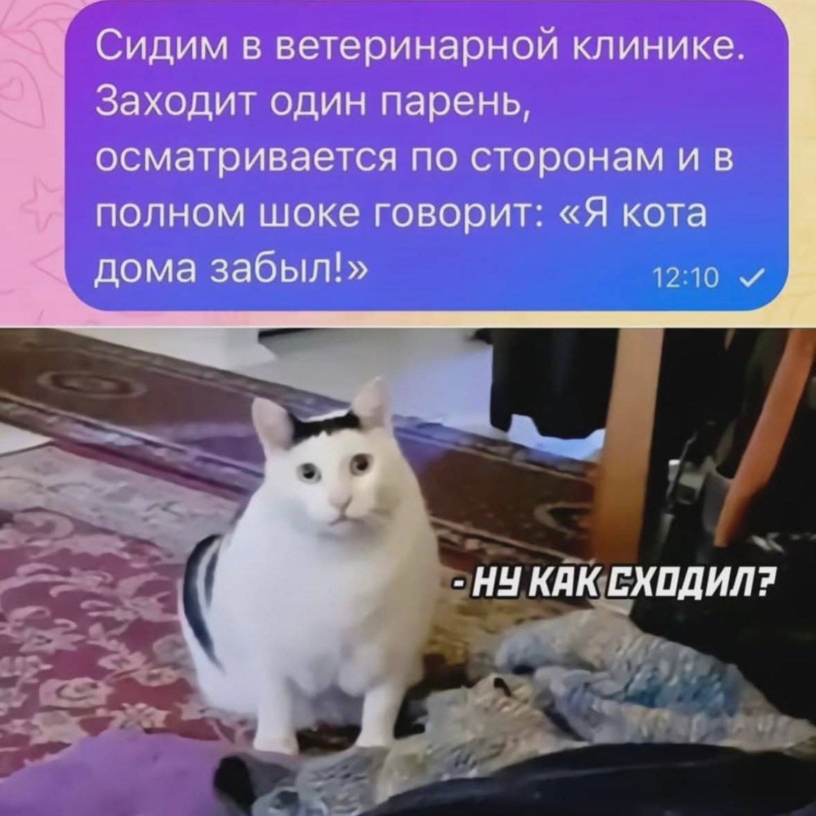 vVjXR3n7l7Q.jpg?size=1179x1178&quality=9