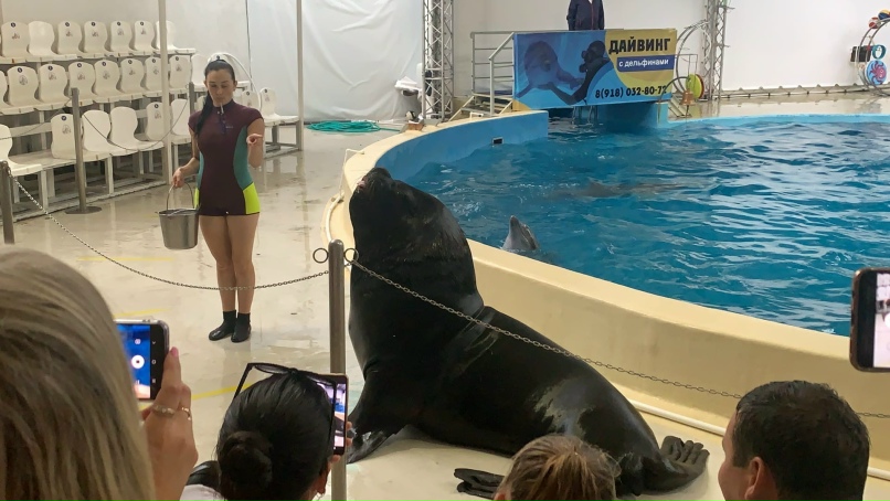 Евгения Счастливцева | Киров