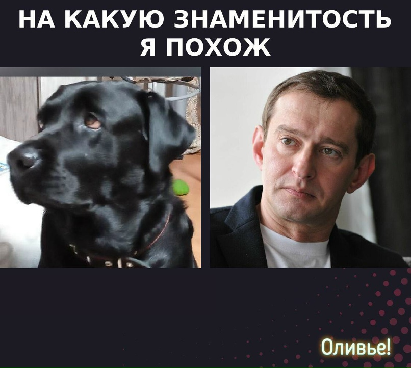 Михаил Розов | Сарапул