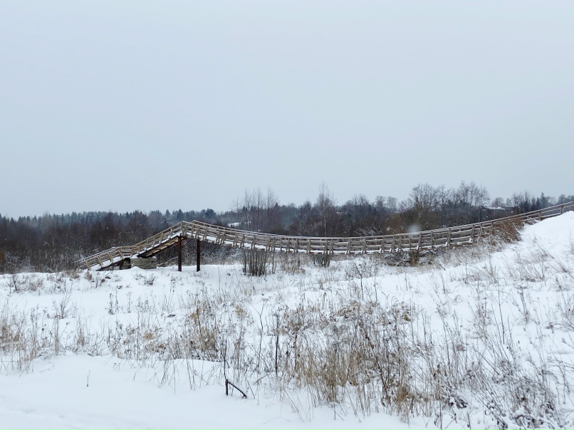 Наталья Полякова | Санкт-Петербург