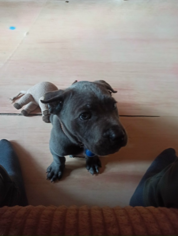 Николай Сальников | Старый Оскол