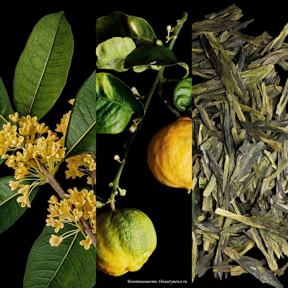 Carolina Herrera Lucky Charms Mad World 2022 Carolina Herrera Lucky Charms Mad World 2022