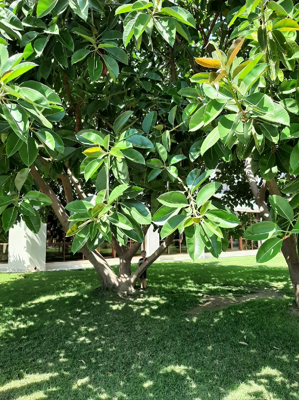 Юлия Рубцова | Тверь