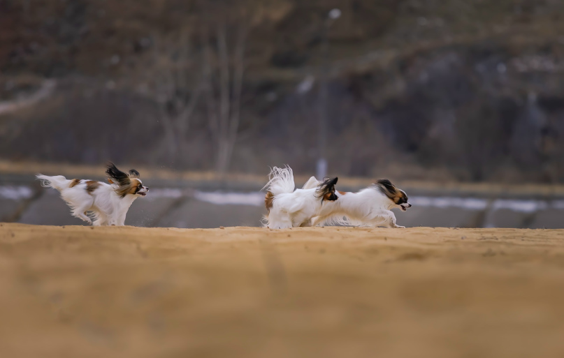 Ольга Жукова -diva- | Нижний Новгород