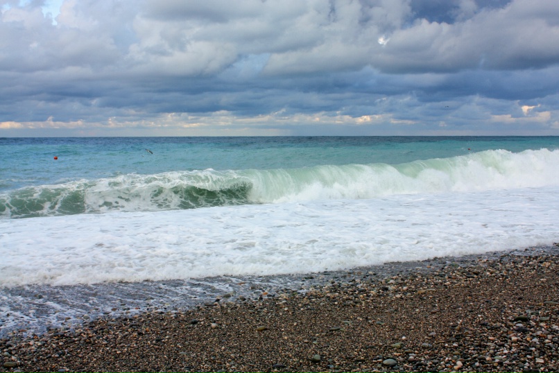 Надежда Сальникова |
