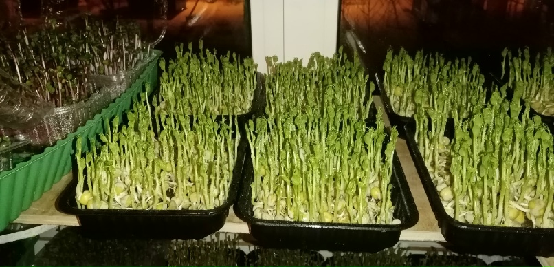 Александр Закиров | Нижний Тагил