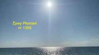 Przekaz nr 1355– Żywy Płomień