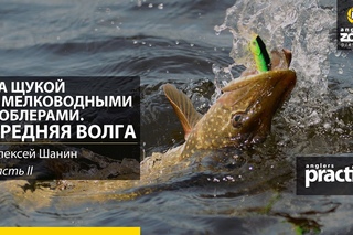 За щукой с мелководными воблерами. Средняя Волга. Часть 2. Anglers Practical.