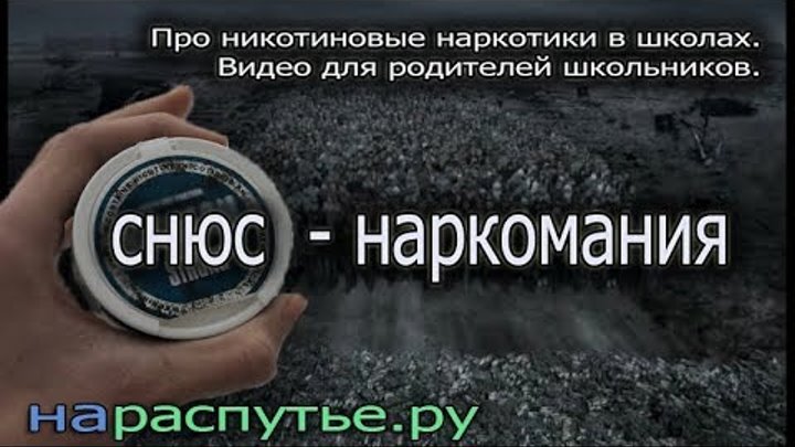Снюс наркомания. Про никотиновые наркотики для родителей