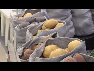 Санкцисем пире малашне аталанма пулш