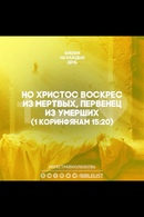 Post mortem викторианской эпохи. Гробница иисуса. Фотографии мертвых людей 19 века. Post mortem викторианской эпохи. Христос первенец из мертвых.