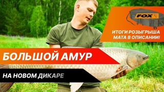 КАК ЛОВИТЬ КРУПНОГО КАРПА И АМУРА НА КУКУРУЗУ