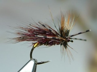 Tying the Gnasher Sedge Hog by Davie McPhail.
