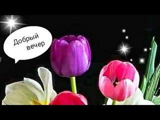 🌹| ДОБРЫЙ ВЕЧЕР| Музыкальная открытка с пожеланиями❤️|