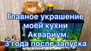 3 года после запуска